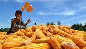 Pemprov diminta beri subsidi petani atasi kemiskinan di NTB