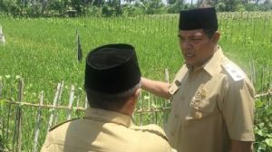 Khairul Warisin siap mengabdi kembali untuk masyarakat Lotim 2024