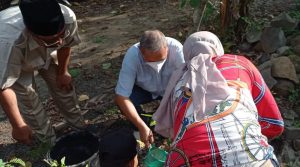 HBK tanam 10 ribu bibit pohon produktif