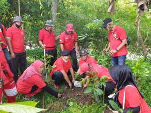 Wujud syukur HUT partai dan Ketua Umum, PDIP NTB tanam 11.000 pohon