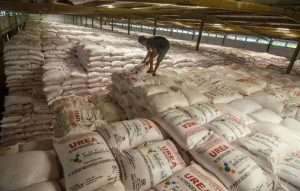 Soal penjarahan pupuk subsidi di Bima, CV Rahmawati merasa terdzolimi