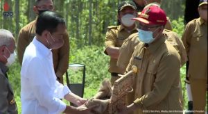 Gubernur NTB bawa tanah Tambora dan air Narmada ke IKN Nusantara