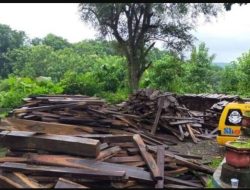KPH Toffo Pajo akui kayu sonokeling 131 kubik diambil paksa sejumlah oknum masyarakat, namun…