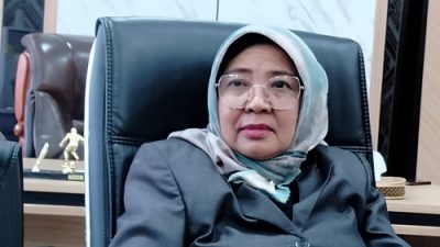 Ketua DPRD NTB Baiq Isvie Rupaeda. (Iba/Detikntbcom)