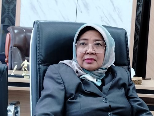 Ketua DPRD NTB Baiq Isvie Rupaeda. (Iba/Detikntbcom)