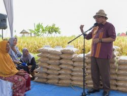 Pj Gubernur NTB Miq Gita Lakukan Panen Raya Padi di Desa Tanak Beak