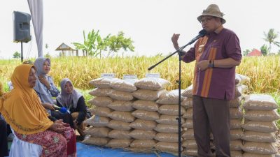 Pj Gubernur NTB Miq Gita Lakukan Panen Raya Padi di Desa Tanak Beak