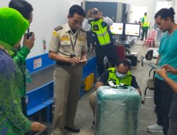 KNPI Minta Polda NTB Usut Penyelundupan Benih Lobster di Bizam