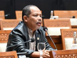 Johan Rosihan Khawatir Beras Impor Masuk Sumbawa dan KSB Cekik Petani Lokal