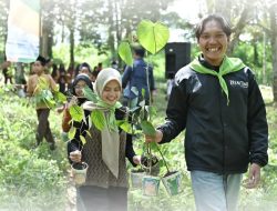 Bank NTB Syariah Tanam 1024 Bibit Pohon di Joben Lombok Timur