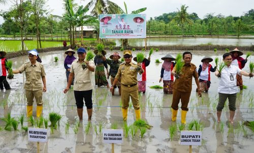 Pj Gubernur NTB Hassanudin mendampingi Wamentan RI Sudaryono menanam padi bersama para petani Lombok Tengah, Senin 06 Desember 2025. (Man)
