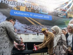 Biji Kemiri NTB Masuk Pasar Ekspor Arab Saudi