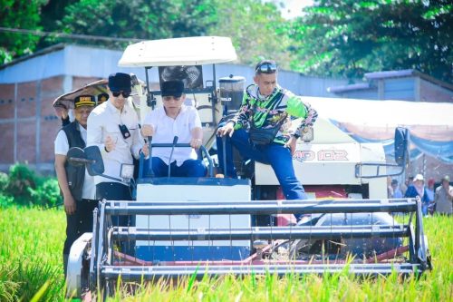 Wali Kota Bima A Rahman Abidin bersama Forkopimda saat melakukan panen raya padi di Kelurahan Jatiwangi Kota Bima, Senin 7 April 2025. (Iba/Ist)