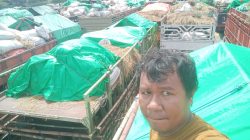 Ketua Asosiasi Peternak dan Pedagang Sapi Bima Indonesia (APPSBI) Furkan Sangiang, saat memantau antrian truk pengangkut sapi di Gili Mas. (Iba)