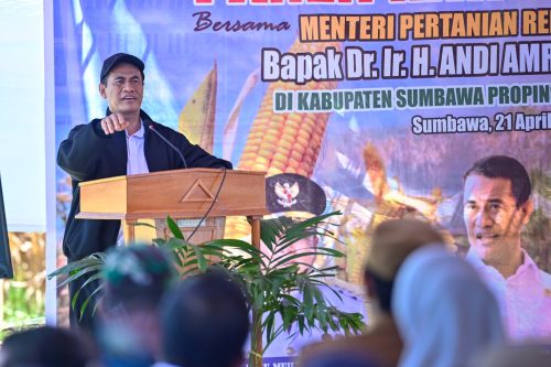 Menteri Pertanian RI Andi Amran Sulaiman saat melakukan panen raya Jagung di Samota, Kabupaten Sumbawa, Senin 21 April 2025 bersama Gubernur NTB didampingi Forkopimda. (Iba)