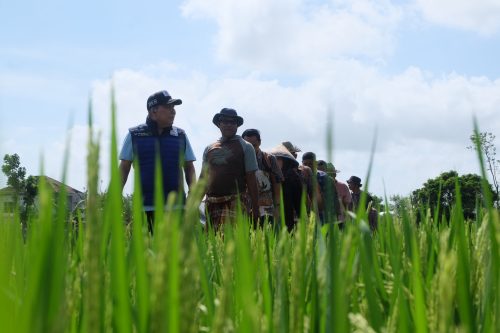 Anggota Komisi IX DPR RI Muazzim Akbar saat mengunjungi petani di Lombok. (Iba)