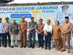 Jagung Sumbawa Tembus Pasar Internasional, 6.000 Ton Diekspor ke Filipina