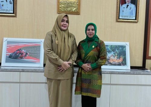 Ketua DPW PBB NTB Nadirah Alhabsy bersilaturahmi dengan Wakil Gubernur NTB Indah Dhamayanti Putri, Selasa 3 Juni 2025. (Iba)