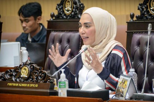 Wakil Ketua Komisi III DPR RI Sari Yuliati. (Iba/Ist)