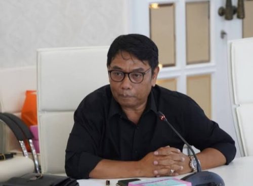 Ketua Komisi II DPRD NTB Lalu Pelita Putra. (Iba/Ist)