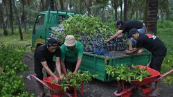 Bank NTB Syariah menyerahkan fasilitas Nursery Farm (Kebun Bibit) sebagai investasi jangka panjang bagi kelestarian lingkungan dan peningkatan kesejahteraan ekonomi masyarakat Sumbawa. (Iba)