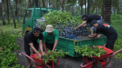 Bank NTB Syariah menyerahkan fasilitas Nursery Farm (Kebun Bibit) sebagai investasi jangka panjang bagi kelestarian lingkungan dan peningkatan kesejahteraan ekonomi masyarakat Sumbawa. (Iba)