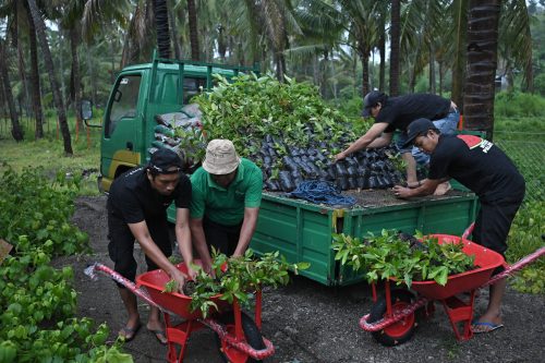 Bank NTB Syariah menyerahkan fasilitas Nursery Farm (Kebun Bibit) sebagai investasi jangka panjang bagi kelestarian lingkungan dan peningkatan kesejahteraan ekonomi masyarakat Sumbawa. (Iba)