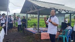 Gubernur NTB Lalu Muhamad Iqbal saat menggelar panen raya di Desa Banyu Urip Lombok Barat. (Iba)