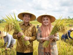 NTB Catat Lonjakan Produksi Padi 16,85%, Perkuat Fondasi Swasembada Pangan Nasional