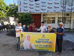 Golkar NTB Sembelih Sapi Kurban Bantuan Bahlil Lahadalia dan Sari Yuliati