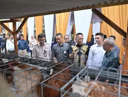 Bank NTB Syariah Dukung Program Desa Berdaya, Salurkan Bantuan Budidaya Ayam Petelur di Lendang Nangka Utara