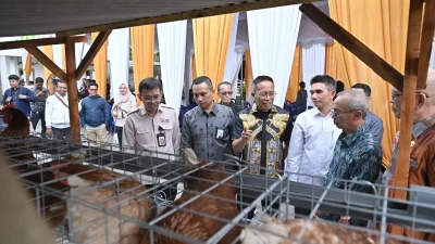 Bank NTB Syariah menyalurkan bantuan pemberdayaan ekonomi melalui budidaya ayam petelur kepada 20 penerima manfaat di Desa Lendang Nangka Utara, Kecamatan Masbagik, Kabupaten Lombok Timur.
