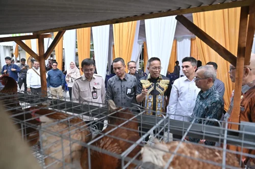 Bank NTB Syariah menyalurkan bantuan pemberdayaan ekonomi melalui budidaya ayam petelur kepada 20 penerima manfaat di Desa Lendang Nangka Utara, Kecamatan Masbagik, Kabupaten Lombok Timur.