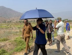 Mori Hanafi Tinjau Hasil PISEW di Dapil, Dorong Infrastruktur Desa Perkuat Pertanian
