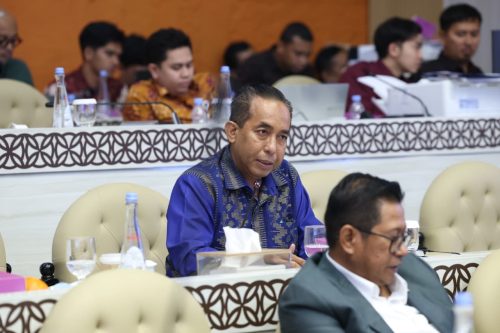 Anggota Komisi V DPR RI Mori Hanafi. (Iba/Ist)